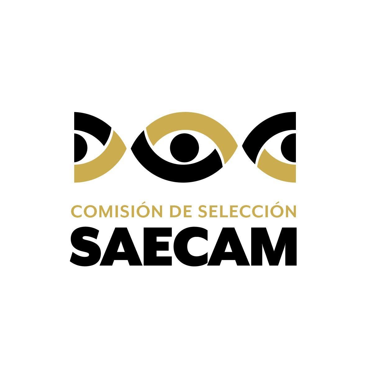Comisión de Selección del Comité de Participación Ciudadana del Sistema Anticorrupción del Estado de Campeche